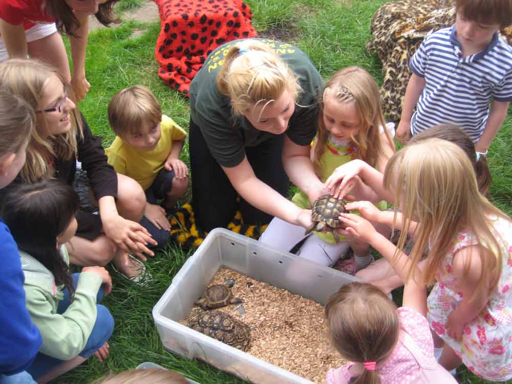 Animal Man's Mini Zoo: Kids animal party Edinburgh