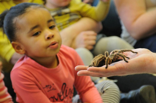 Nurseries Animal Visits