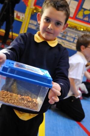 School or Nursery